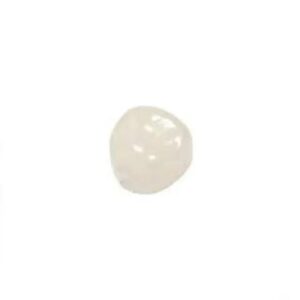 Elephant Zirconia Crowns Plus Posterior- LLE 7